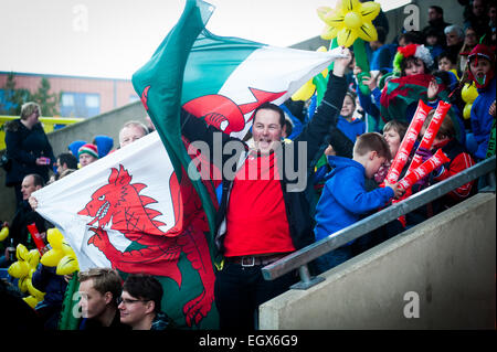 London Welsh rugby supporters celebrating on Saint David's Day (March 1st 2015) and waving inflatable daffodils Stock Photo