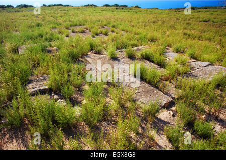 Agora of the ancient Greek city of Kamarina, Sicily Stock Photo