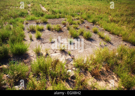 Agora of the ancient Greek city of Kamarina, Sicily Stock Photo