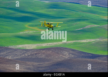 Crop duster aircraft spraying Palouse farmland Steptoe Butte State Park Washington USA Stock Photo