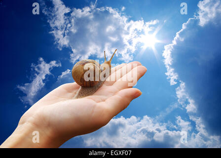Snail on hand and deep sky. Conceptual design. Stock Photo