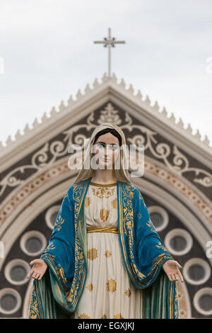 Saint Mary or the Blessed Virgin Mary, the mother of Jesus, in front of the Roman Catholic Diocese or Cathedral of the Immaculat Stock Photo