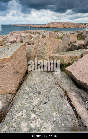 Rocks, coastline at Ramsvik, near Smögen, Bohuslän province, Västra ...
