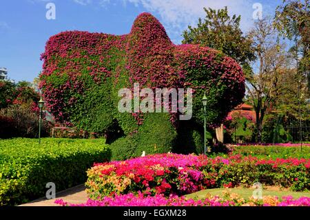 Hua Hin, Thailand:   Immense topiary elephant in the gardens of the Sofitel Centara Grand Resort Hotel Stock Photo