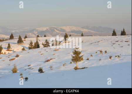 Apuseni Mountains at sunrise, Romania Stock Photo
