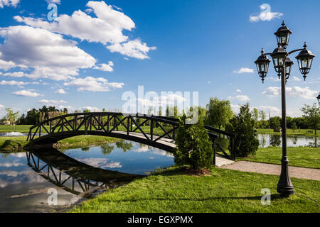 Little Bridge Over a Pond and landing on a Small Grass Island Stock Photo