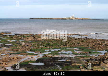 Coquet island, near Amble, Northumberland, England UK Stock Photo