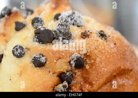 Close up of Chocolate Chip and Sugar Bun, French Pastry Stock Photo