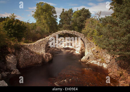 Carrbridge packhorse bridge built in 1717 Stock Photo