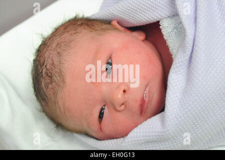 A newborn baby swaddled in a hospital blanket moments after being born Stock Photo