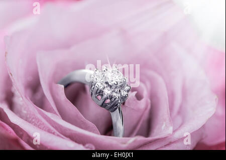 ring with diamonds  inside rose petals Stock Photo