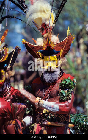 Huli wigman during sing-sing, Mt. Hagen, Papua New Guinea Stock Photo