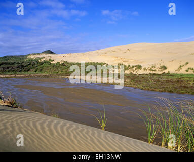 Giant Te Paki Sand Dunes, Te Paki, Cape Reinga, Northland Region, North Island, New Zealand Stock Photo