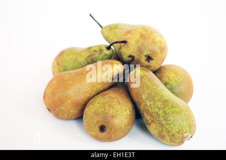 Pile of Conference pears on a white background Stock Photo
