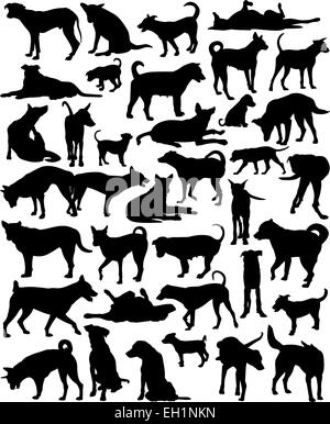 Collection of editable vector silhouettes of a motley group of Bangkok street dogs