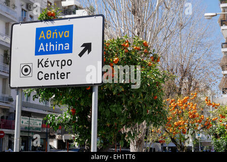 europe greece athens a street sign overgrown with oranges Stock Photo