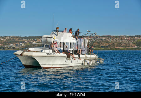 cage diving boat with tourists waiting for the Great White Shark ,Mossel Bay, Western Cape, South Africa Stock Photo