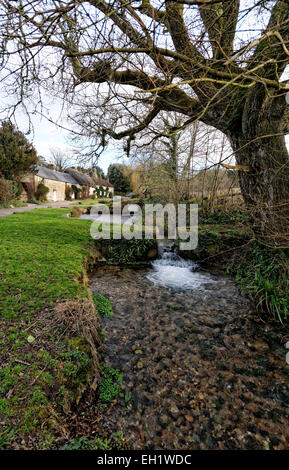 The Caule Bourne stream passes Barrington Row or Winkle Street is part of Calbourne, Isle of Wight Stock Photo