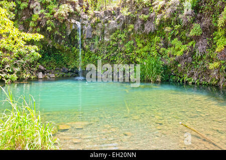 day view of Spring fed pool on the road to Hana - Maui, Hawaii Stock Photo