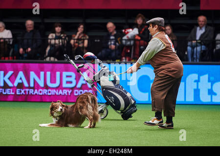 Birmingham, UK. 5th March, 2015. Crufts freestyle Final - Kim Lydon performs with her dog Canen at the Crufts Dog Show 2015 hosted by the NEC, Birmingham on 05 March 2015. The world's largest dog show will be held from 05 to 08 March. Credit:  dpa picture alliance/Alamy Live News Stock Photo