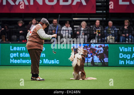 Birmingham, UK. 5th March, 2015. Crufts freestyle Final - Kim Lydon performs with her dog Canen at the Crufts Dog Show 2015 hosted by the NEC, Birmingham on 05 March 2015. The world's largest dog show will be held from 05 to 08 March. Credit:  dpa picture alliance/Alamy Live News Stock Photo