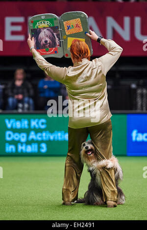 Birmingham, UK. 5th March, 2015. Crufts freestyle Final - Master and dog perform at the Crufts Dog Show 2015 hosted by the NEC, Birmingham on 05 March 2015. The world's largest dog show will be held from 05 to 08 March. Credit:  dpa picture alliance/Alamy Live News Stock Photo