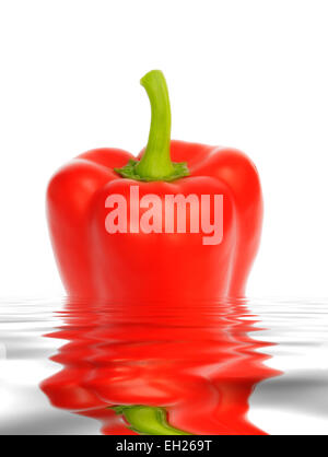 A red bell pepper digitally reflected in a pool of water. Stock Photo