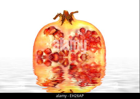 A Pomegranate digitally reflected in a pool of water Stock Photo