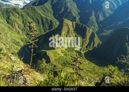 Scenic view of famous Machu Picchu ruins in peruvian andes, South America Stock Photo