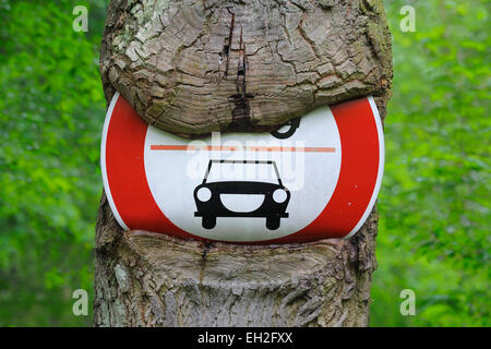 Traffic Sign on an Overgrown Tree, Hesse, Germany Stock Photo
