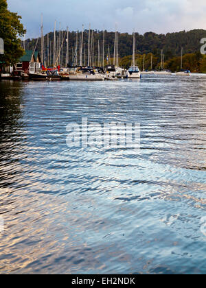 View showing sailing boats and dinghies moored on the banks of Lake Windermere in Lake District National Park Cumbria England UK Stock Photo