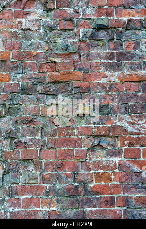 Old garden brick wall Stock Photo