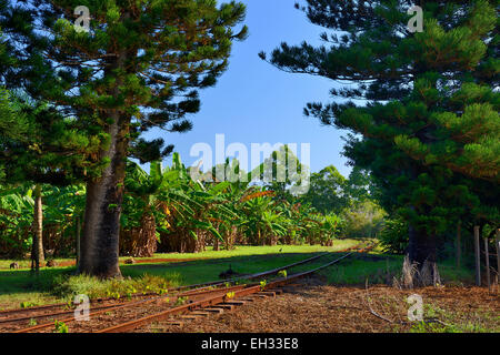 Kilohana Plantation Railway, Lihue, Kauai, Hawaii, USA Stock Photo