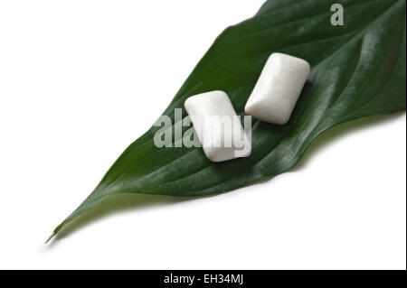 chewing gum on a green leaf isolated on a white background Stock Photo