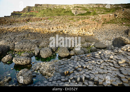 The Giant's Causeway, located in County Antrim on the northeast coast of Northern Ireland. Stock Photo