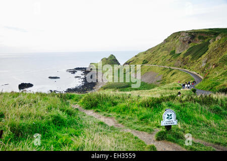 The Giant's Causeway, located in County Antrim on the northeast coast of Northern Ireland. Stock Photo