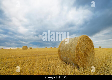 Straw rolls on stubblefield and rain clouds, Hesse, Germany, Europe Stock Photo