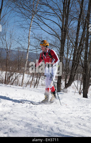 A skier at the halfway mark ready to climb  at the Thunderbolt Ski Race in March 2015 on Mount Greylock, Adams, MA. Stock Photo