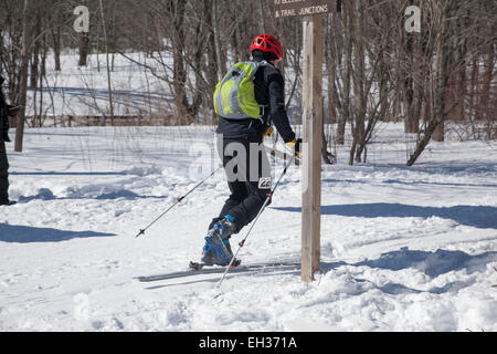 A skier at the halfway mark ready to climb  at the Thunderbolt Ski Race in March 2015 on Mount Greylock, Adams, MA. Stock Photo