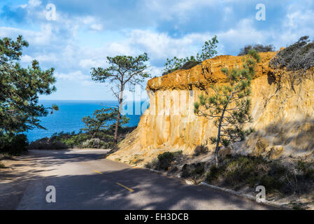 Sandstone cliff and paved road running through the Torrey Pines State Natural Reserve. La Jolla, California, United States. Stock Photo