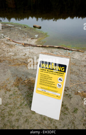 Warning sign of toxic algae present in Cranberry Lake, Deception Pass State Park Washington State Stock Photo