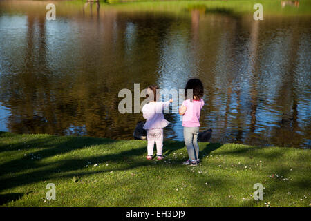 Two three year-olds feeding the geese at a pond, Novato, California, USA Stock Photo