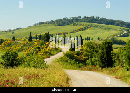 Winding gravel country road through landscape, Tuscany, Italy Stock Photo