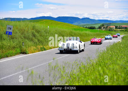 Vintage cars, a Jaguar, 1956, at the front, on road in convoy, Mille Miglia, 1000 Miglia 2014, San Quirico d'Orcia, Siena Stock Photo