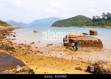 People digging for shellfish at Star Fish Bay, New Territories, Hong Kong SAR Stock Photo