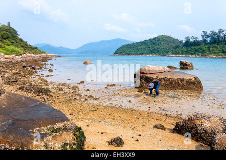 People digging for shellfish at Star Fish Bay, New Territories, Hong Kong SAR Stock Photo