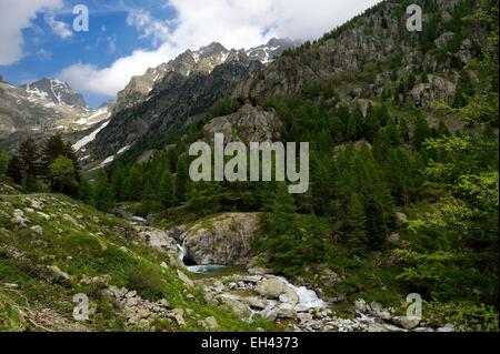 France, Alpes Maritimes, Parc National du Mercantour (Mercantour national park), Haute Vesubie, Gordolasque valley Stock Photo