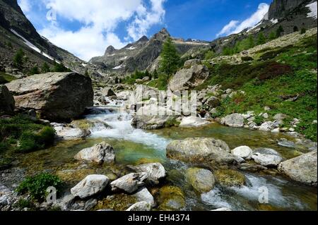 France, Alpes Maritimes, Parc National du Mercantour (Mercantour national park), Haute Vesubie, Gordolasque valley Stock Photo