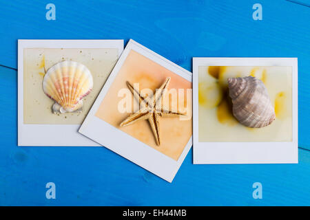 Seashells and Polaroid Frames on Blue Wooden Background Stock Photo