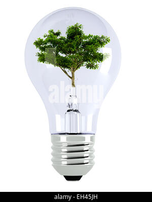 Light bulb. 3d illustration over  white backgrounds. Stock Photo